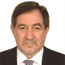 H. Lütfü ENSARİ