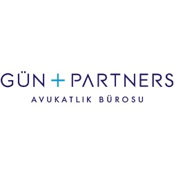 Gün+Partners Avukatlık Bürosu - Mehmet Gün