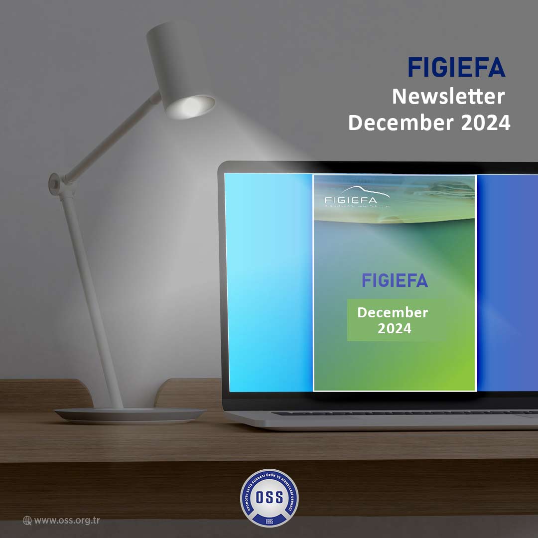 Figiefa Newsletter December 2024